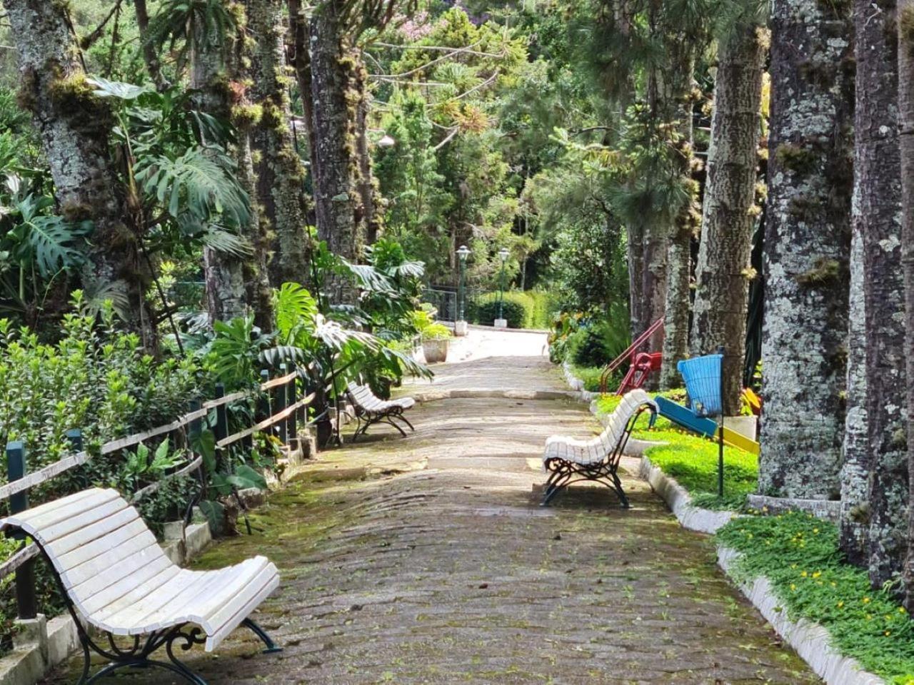 Hotel Bucsky Нова-Фрибургу Экстерьер фото